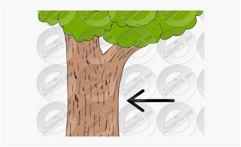 Tree Bark Clip Art Transparent Cartoon Free Cliparts