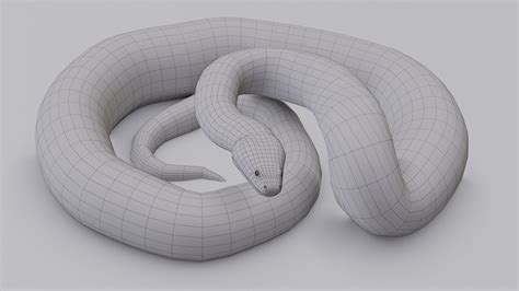 Animated Green Anaconda 3d Model By Dibia Digital