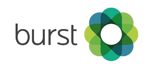 Burst , burst·ing , bursts v. Mobile App Co-Founder, Bryant McBride, Introduces Burst ...