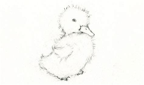 How To Draw And Paint An Adorable Little Duckling Welcome To The