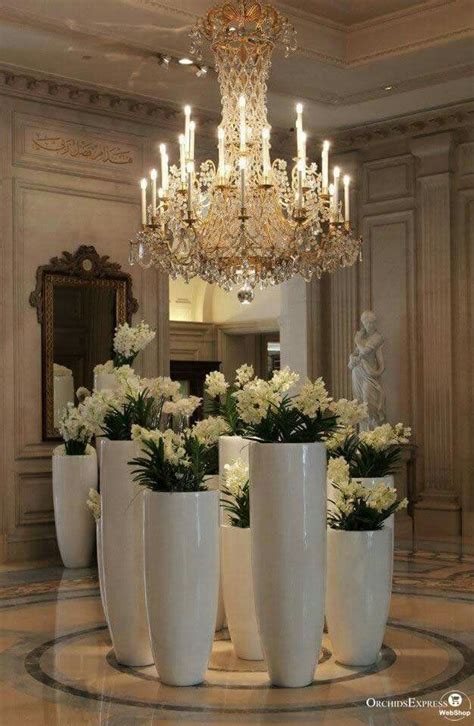 White Vandas Vanda Orchid Vanda Orchids Flower Centerpieces