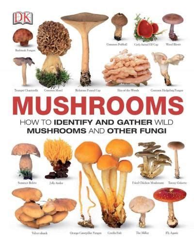 29 Best Mushroom Identification Ideas Stuffed Mushrooms Mushroom