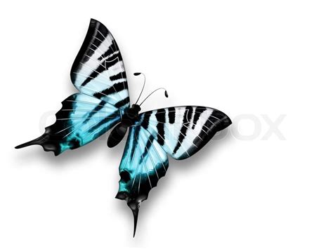 Öffnen sie in photoshop das bild, dessen hintergrund sie löschen möchten. Schönen blauen Schmetterling auf einem weißen Hintergrund ...