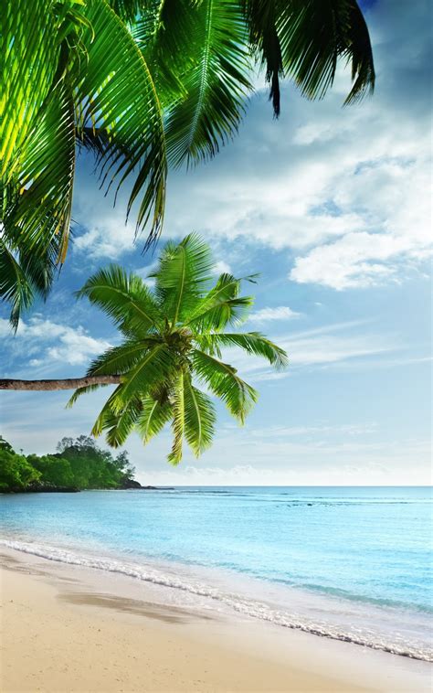 Download Tropical Paradise Beach Hd Wallpaper For Kindle