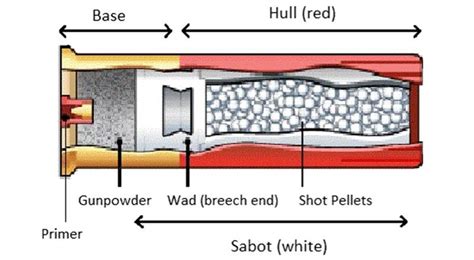 How Do Shotgun Shells Work What Are Shotgun Shells Filled With