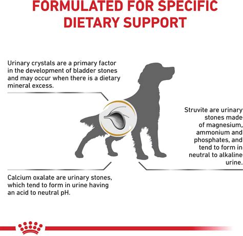There's not a lot of information available about what is needed to develop we carefully picked ten different kinds of dog food commonly used to maintain urinary health to review so you can get a better idea of what to look. ROYAL CANIN VETERINARY DIET Urinary SO Dry Dog Food, 25.3 ...
