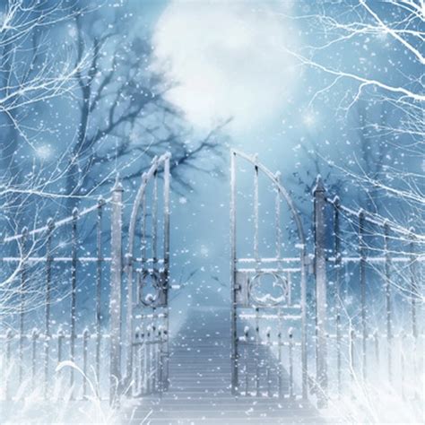 10x10ft Snow Flakes Winter Wonderland Woods Trees Moon Night Fence