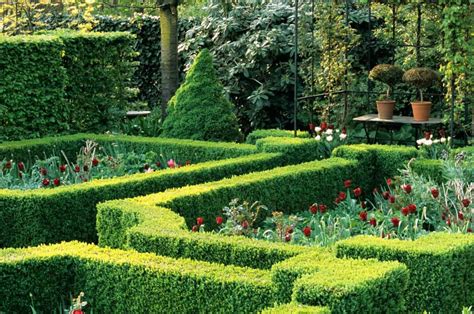 A great knot garden is like a great wine: How to Build a Knot Garden (40 Photo Designs)