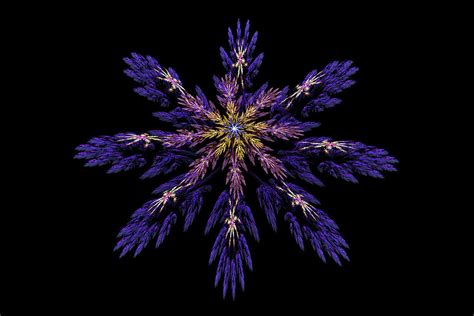 Digital Fractal Art Abstract Blue Purple Flower Image