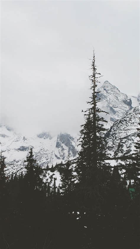 10 Wonderful Winter World Iphone X Wallpapers Preppy