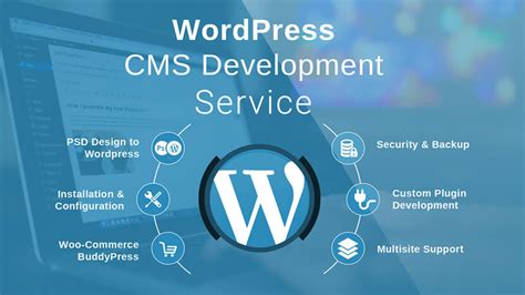 Professional Wordpress Development Service