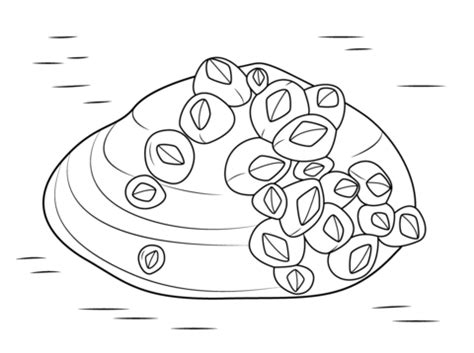 The drawbot also has many other coloring pages! Clam Drawing at GetDrawings | Free download