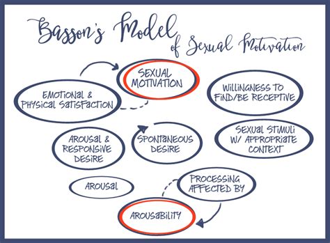 Sexology Today The Sexual Response Cycle — Masturbation Month