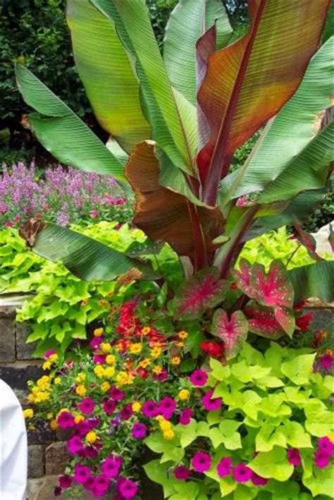 1000 Images About Tropical Gardens On Pinterest