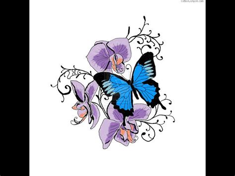 pin on butterfly tattoo ideas