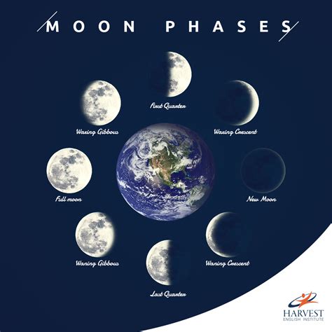 Moon Phase Today Live 2024 Cool Ultimate Popular Famous Lunar Events