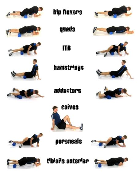 Using foam rollers can reduce the risk of developing adhesions. Choosing The Best Foam Roller and Learn The Benefits of ...
