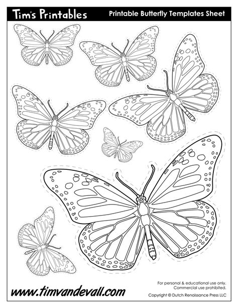 You will also find coloring and practice worksheets on this page. Butterfly Printables - Tim's Printables