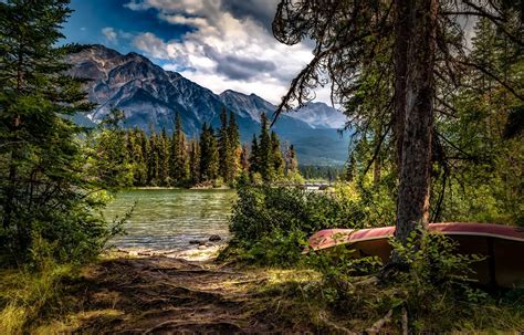 Landscape Lake Pine Trees Forest Boat Wallpapers Hd