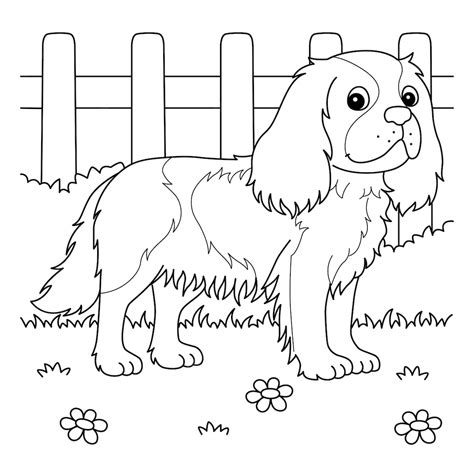 Coloriage Chien King Charles A Imprimer Gratuit Chien A Colorier The