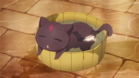Details Black Anime Cat Super Hot In Duhocakina