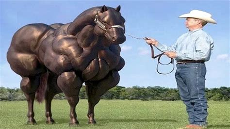 Interesting facts about voluntary muscles the human body has over 600 voluntary/skeletal muscles. 10 Horse Breeds You Will Not Believe Exist - YouTube