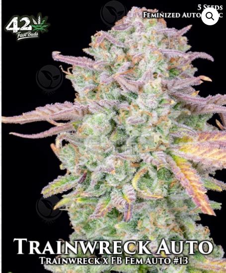 Trainwreck Auto Von Fast Buds Company Cannabis Sorten Infos
