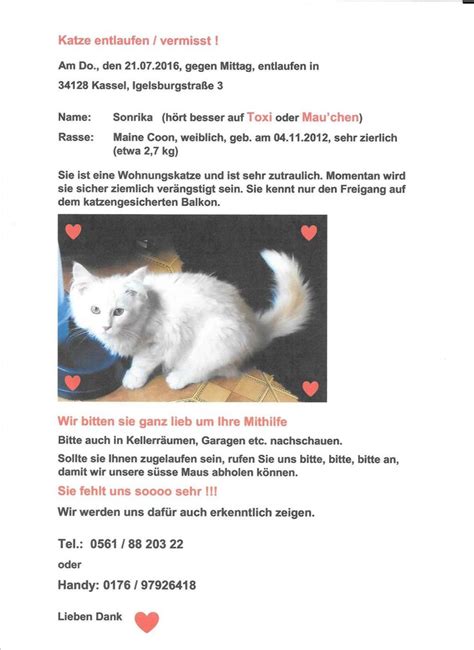Check spelling or type a new query. Echt Vermisstenanzeige Katze Vorlage | Katzen, Vermisse ...