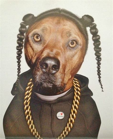 Snoop Dog Snoop Dog Snoop Dogg Dogs