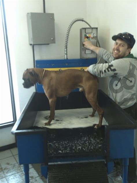 Our self serve dog washes have become a customer favorite. Self Serve Dog Wash - CLOSED - Pet Services - Edmonton, AB ...
