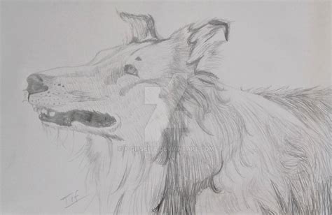 Portrait Lassie By X Seiya On Deviantart