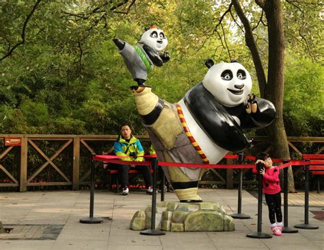 Giant Panda Research Facility In Chengdu China Explored Kcbx