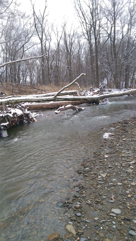 Lake Metroparks Fishing Report Chagrin River Is Place To Be