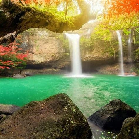 Pin By Suzanne Brown On Waterfalls And Cascades Tropical Painting