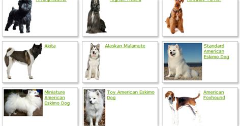 Underneath their names are the films i have seen by them in order from my favorite to my least favorite. Dogs Breeds Land: Dog Breeds List With Picture