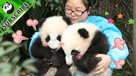 【panda Theme】a Day With Nanny Ipanda Youtube