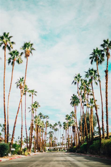 Palm springs california to los angeles. Photo Diary: Palm Springs, CA | Cool places to visit, Palm ...