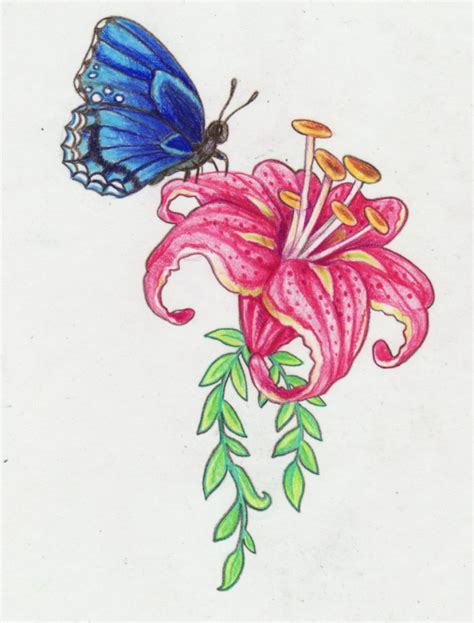 Butterfly And Flower Drawing At Getdrawings Free Download