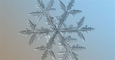 Extreme Snowflake Closeups Shot With A Compact Cam Cnet