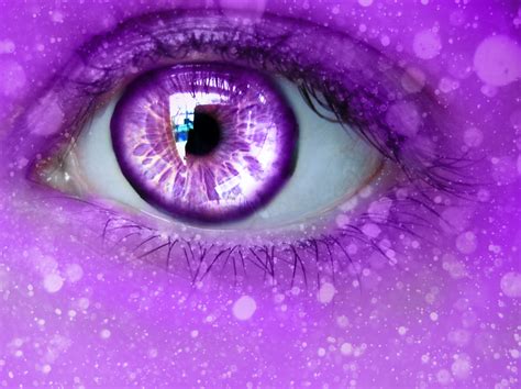 Purple Dreams By Keashie On Deviantart