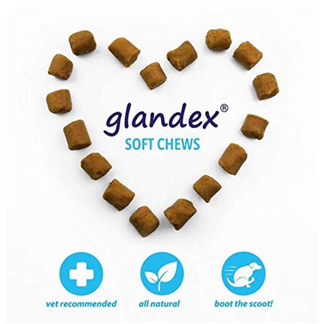 Glandex Anal Gland Support Kit Fiber Supplement For Dogs With Pumpkin