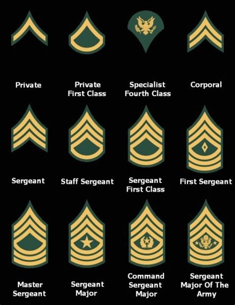 What Are The Ranks Of The Us Army In Order