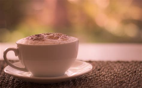 Morning Coffee Cup Photo Wallpaper 2560x1600 24759