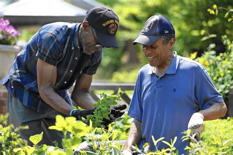 At Chicago Botanic Garden Veterans Find Healing In Nature