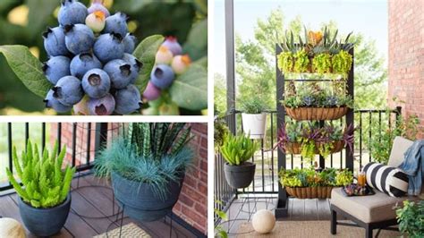 33 Great Balcony Garden Ideas With A Diy Balcony Guide Planters For