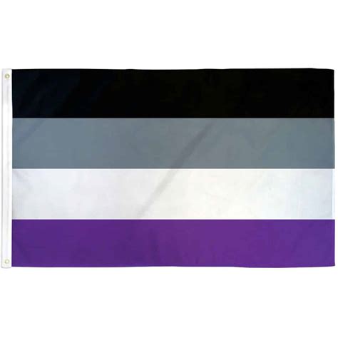 3x5 Asexual Pride Flag Pride Basics