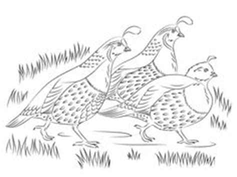All information about california quail coloring pages. 19 Best Bobwhite and Quails sketches images | Quail, Wood ...