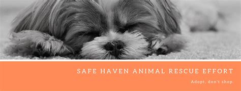 Safe Haven Animal Rescue Effort In Pawnee City Nebraska Home
