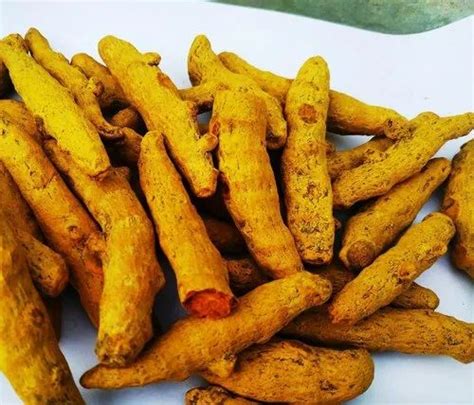Salem Turmeric Finger For Cooking At Rs Kg In Tiruchirappalli Id