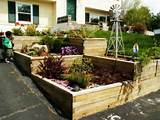 Photos of Garden Design Ideas Vegetable